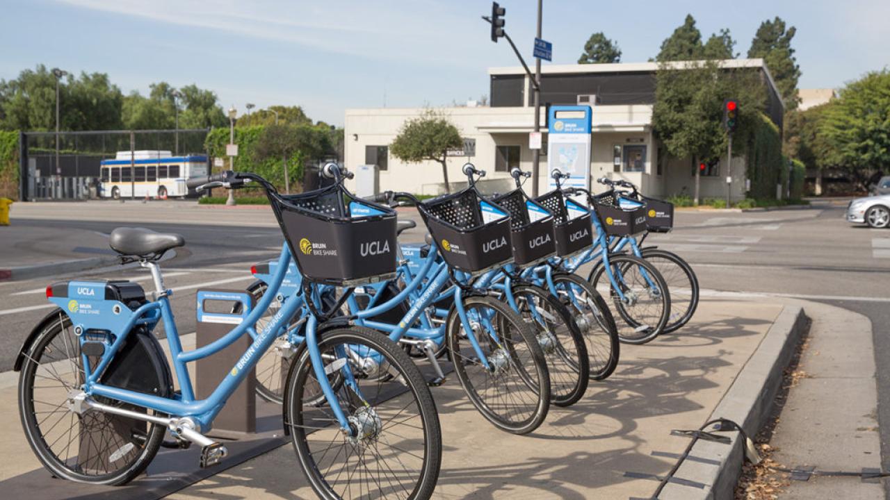 bruin bike share